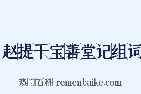 赵提干宝善堂记组词是什么意思的图片